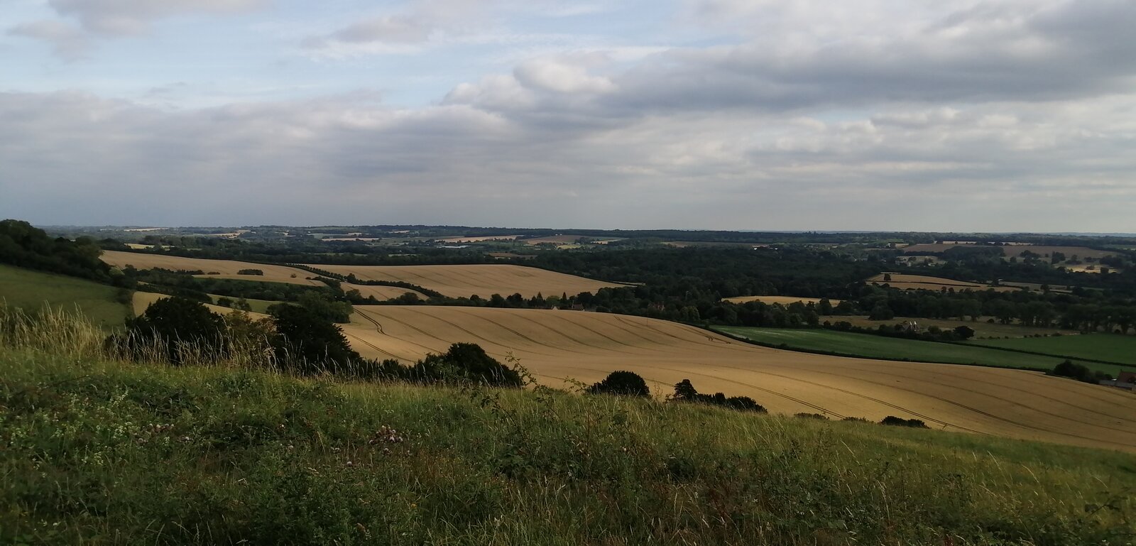 IMG_20200716_180917.jpg