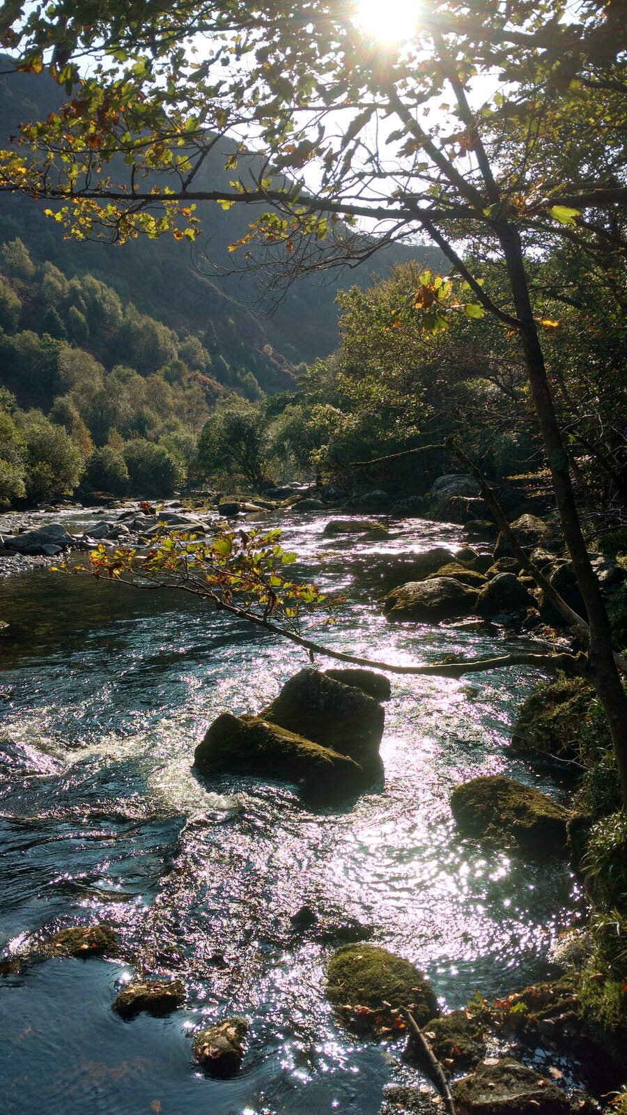 IMG_20200921_100613545_HDR.jpg