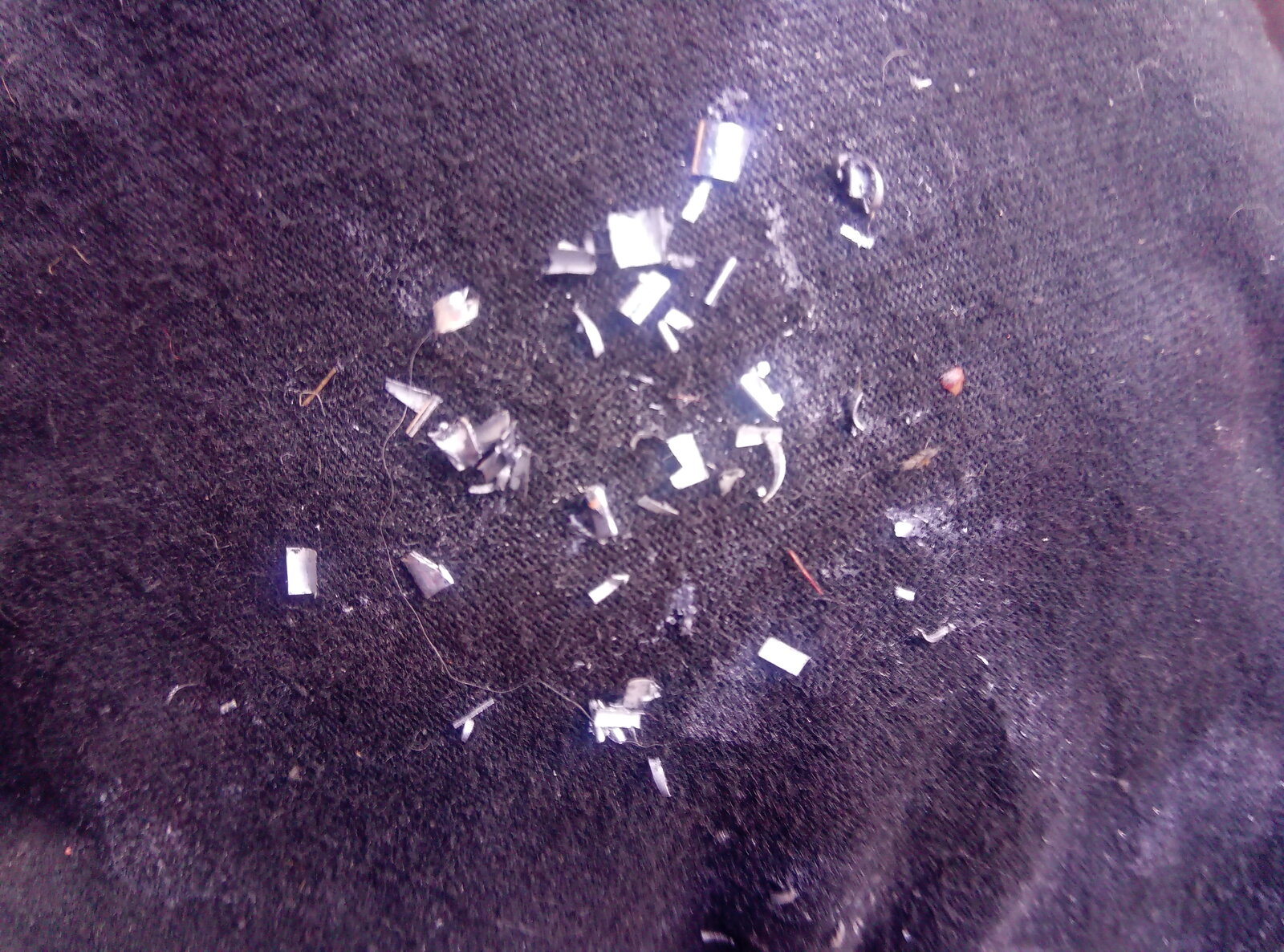 IMG_20201004_132559_2.jpg
