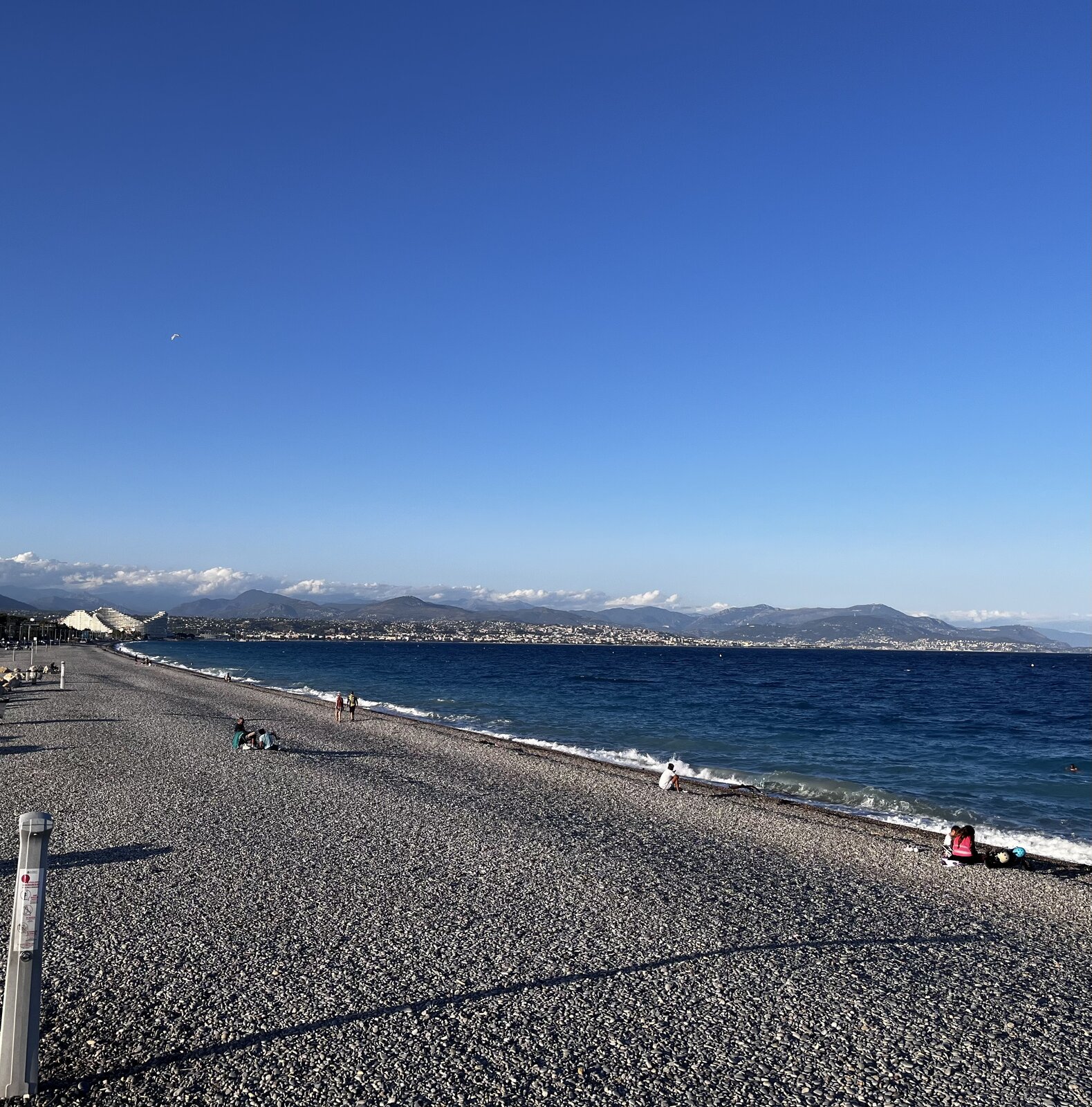 IMG_2150.jpeg