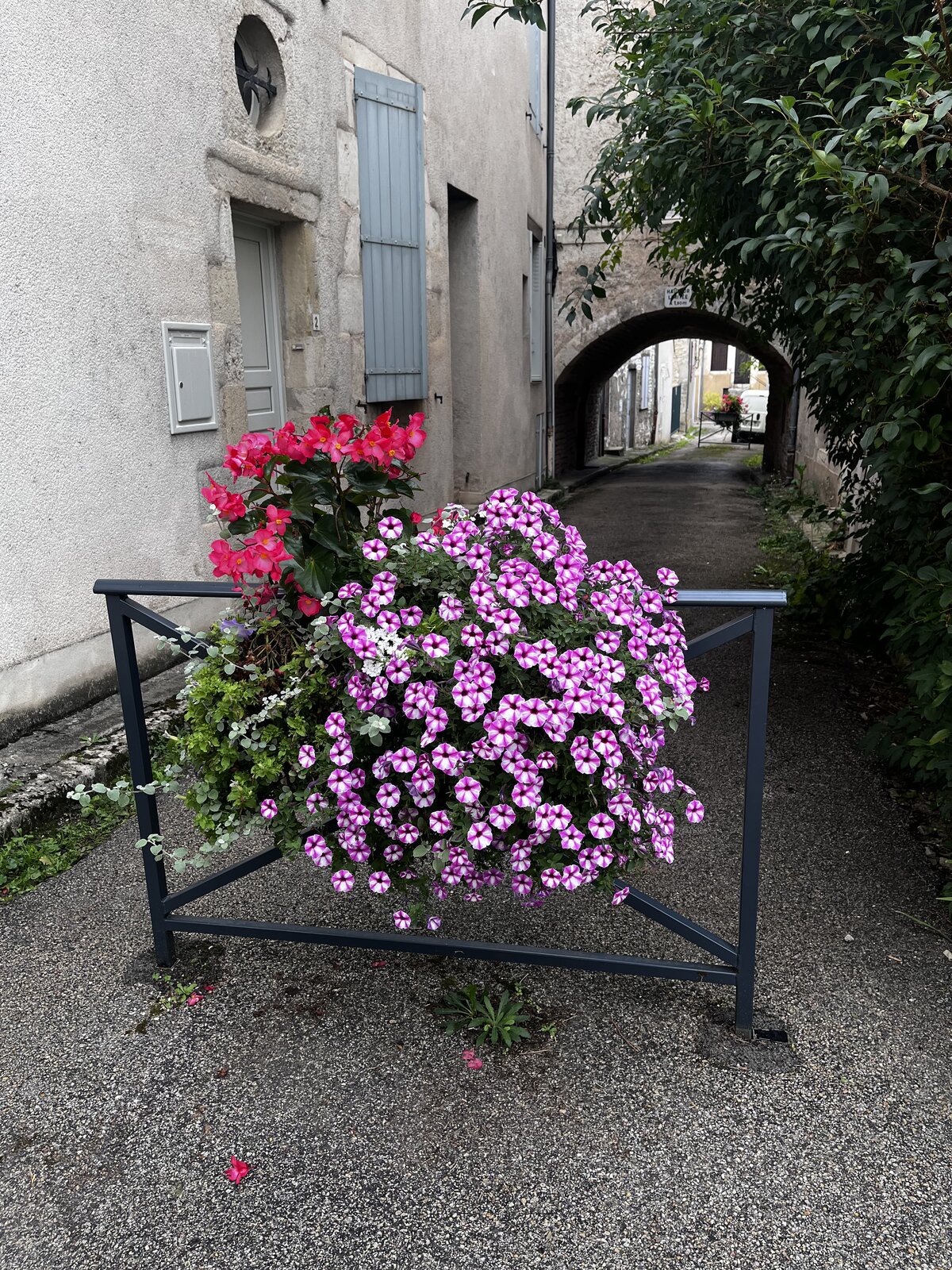 IMG_2162.jpeg