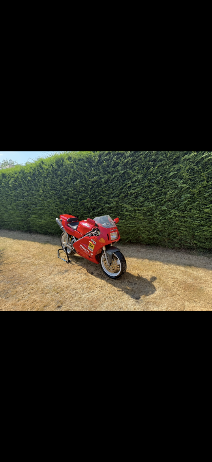 IMG_2246.png