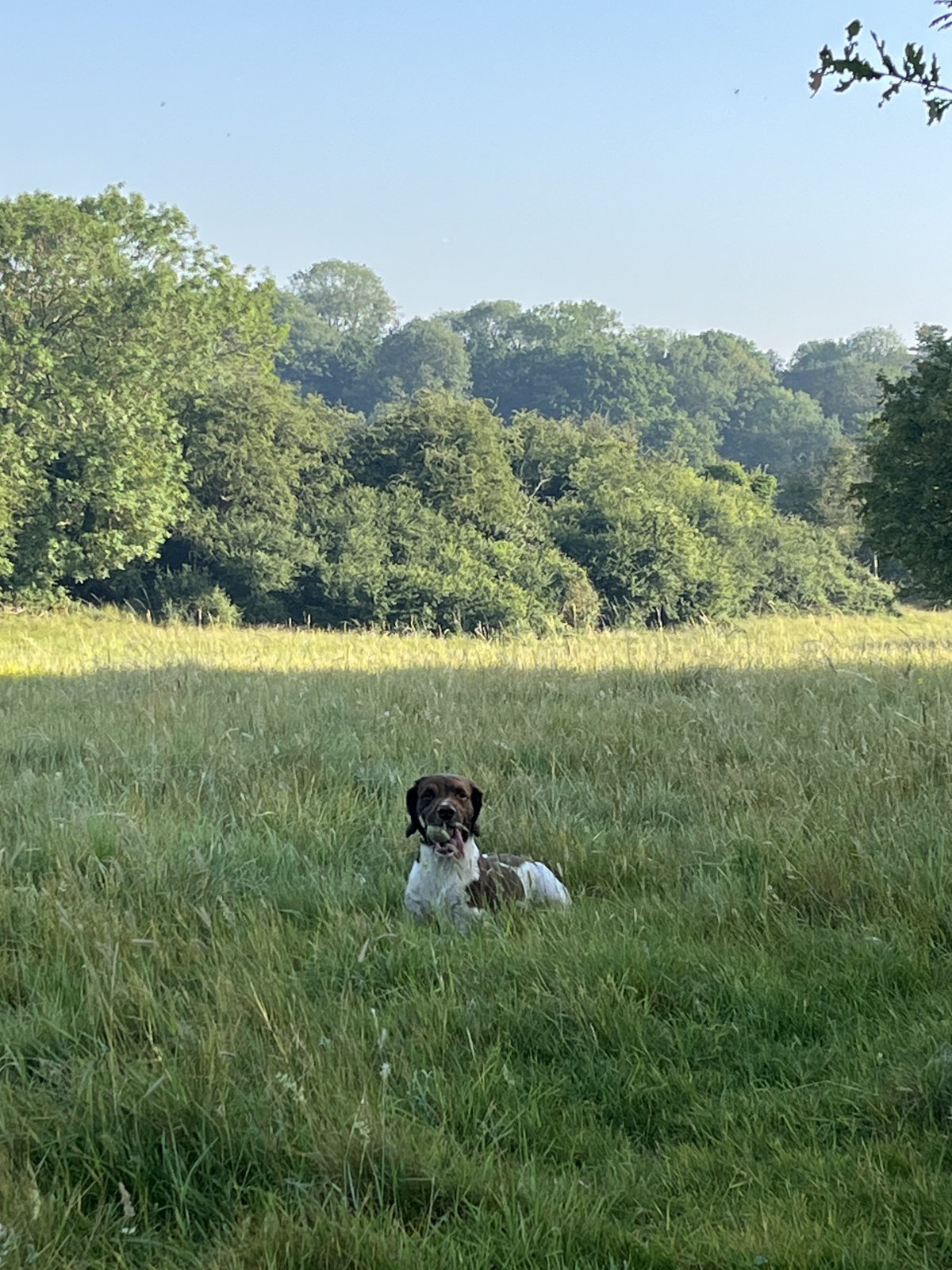 IMG_2583.jpeg