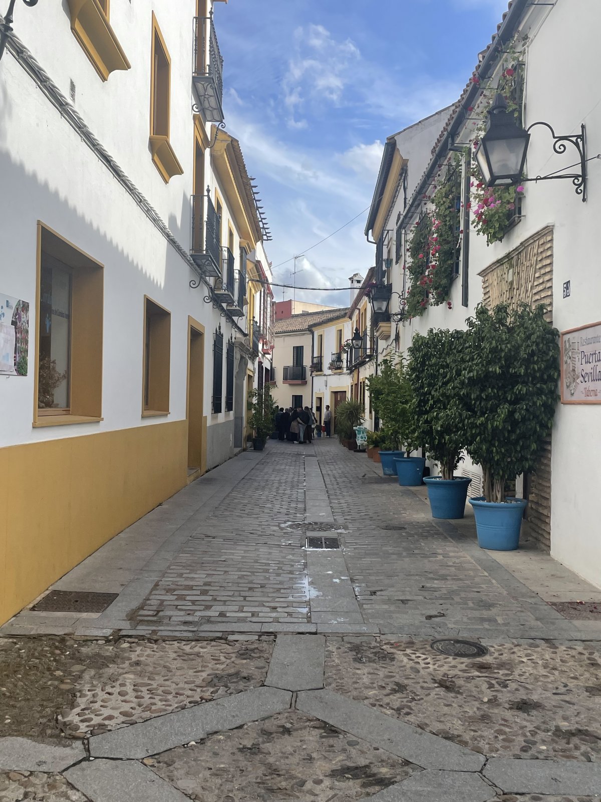 IMG_2671.jpeg