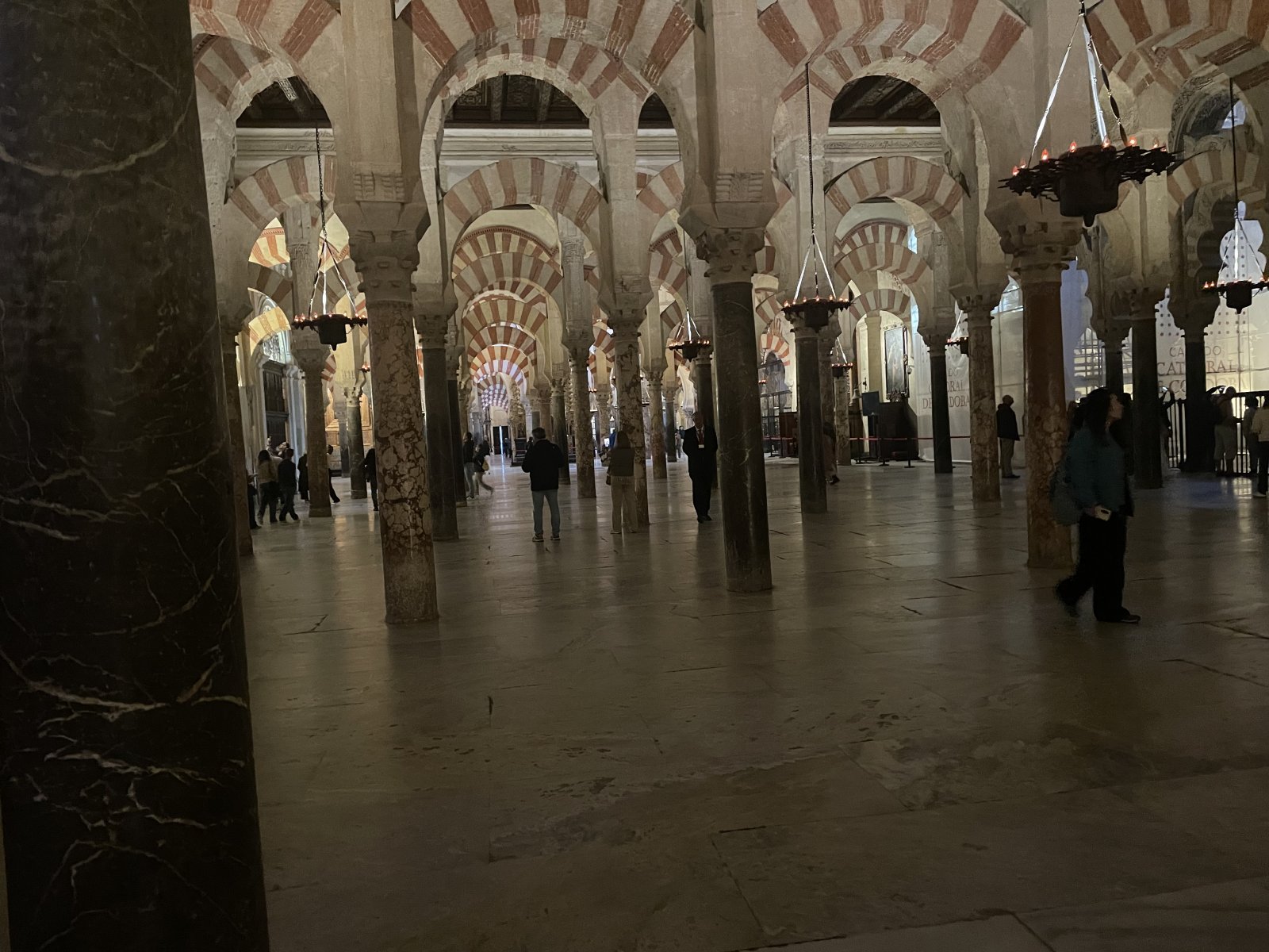IMG_2677.jpeg
