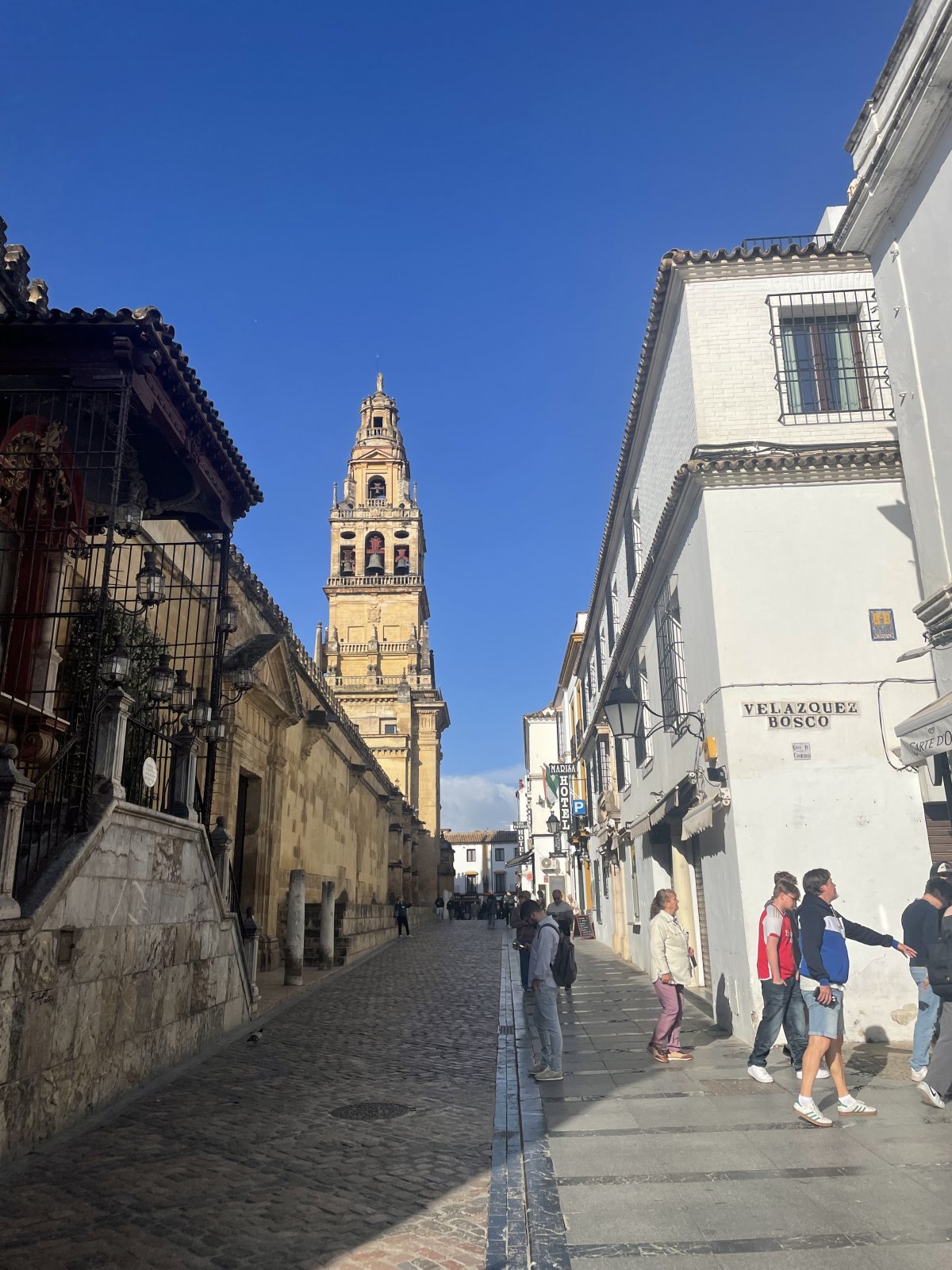 IMG_2684.jpeg