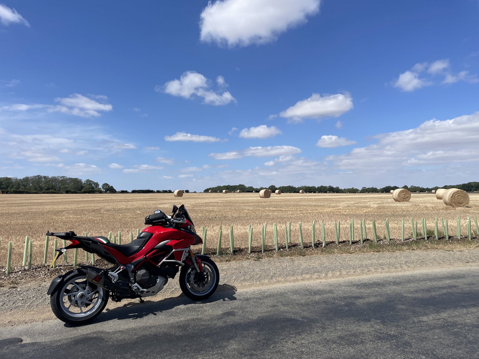 IMG_2980.jpeg