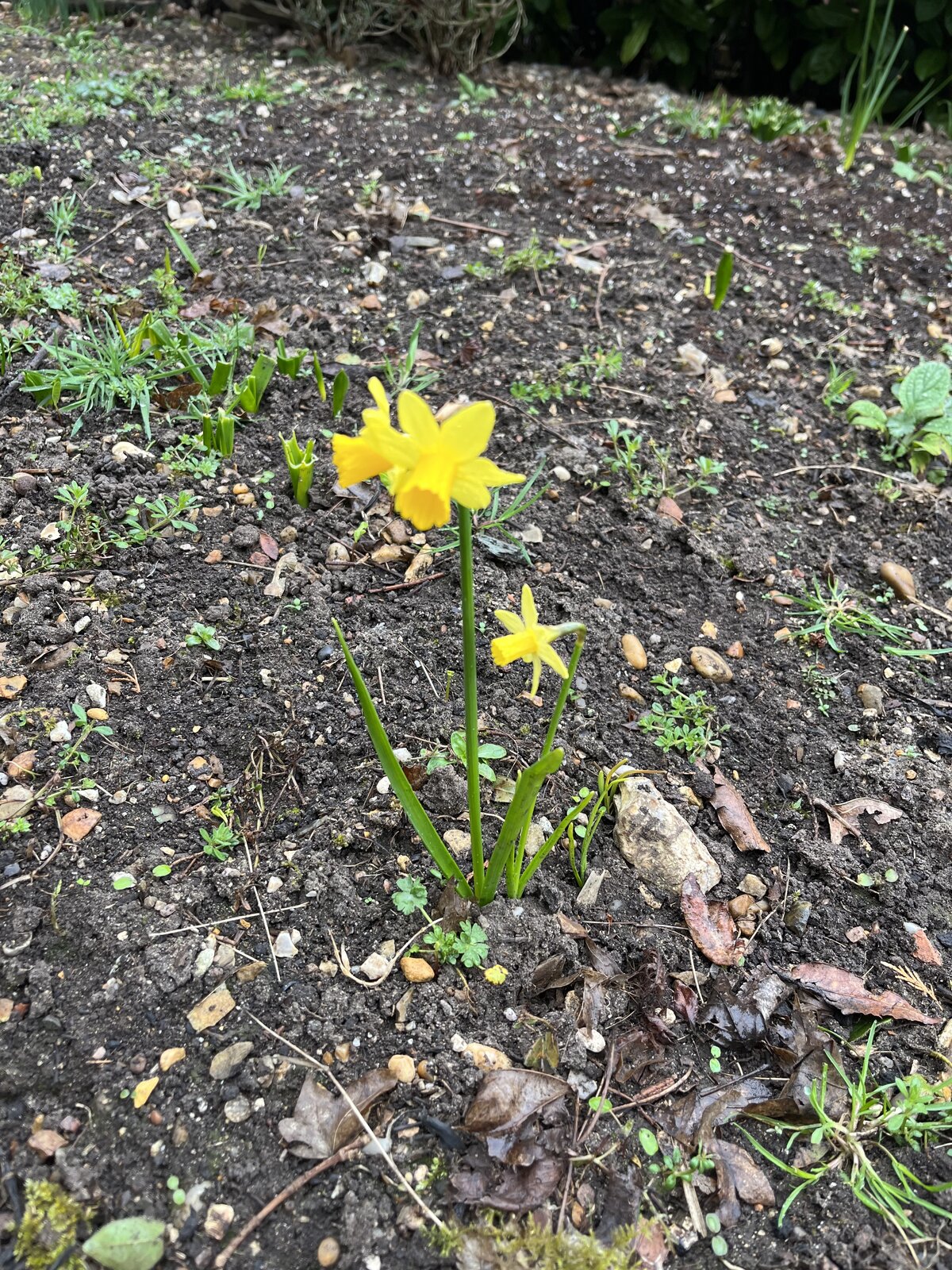 IMG_3004.jpeg