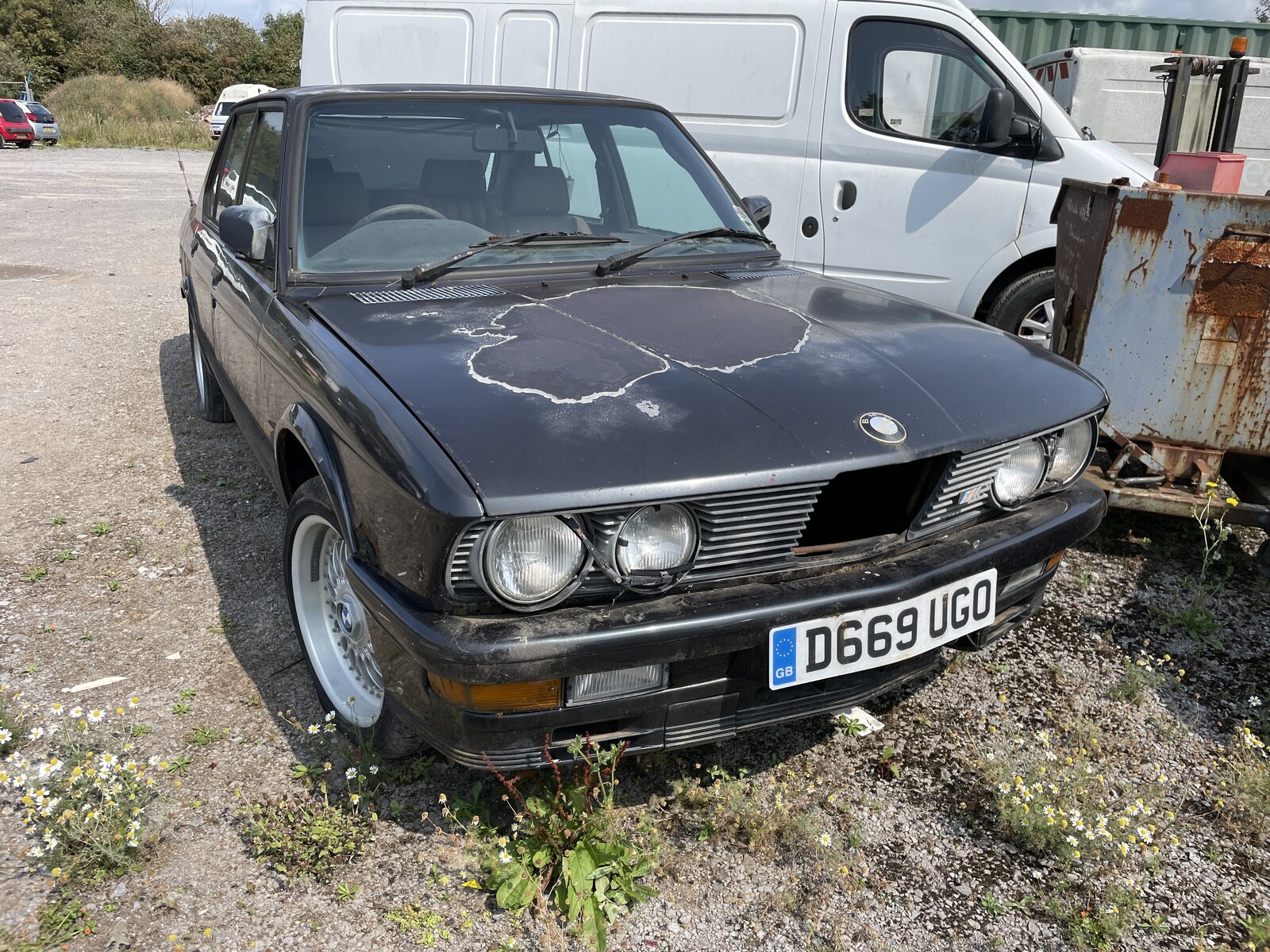 IMG_3371.jpeg
