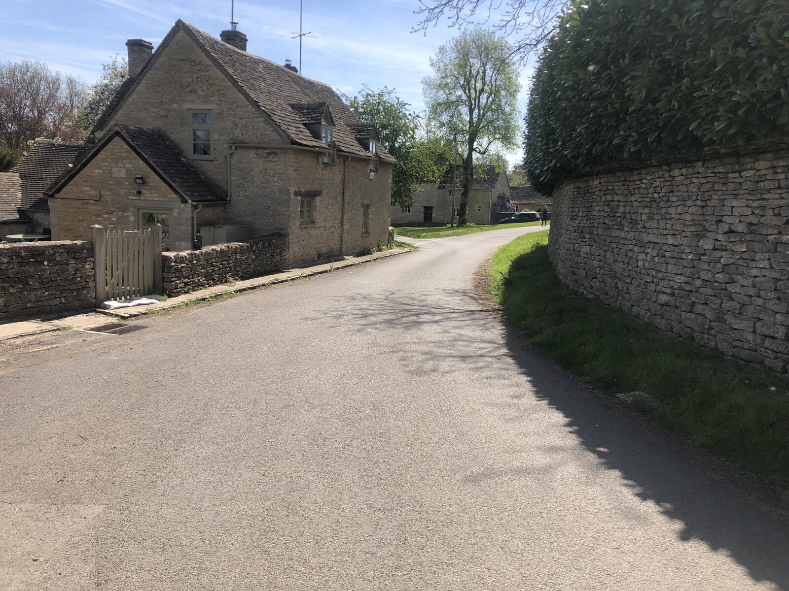 IMG_3374.jpeg
