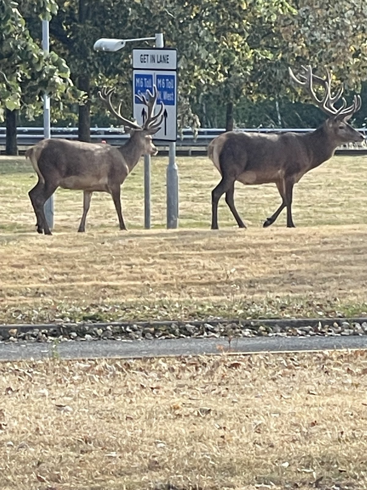IMG_3404.jpeg