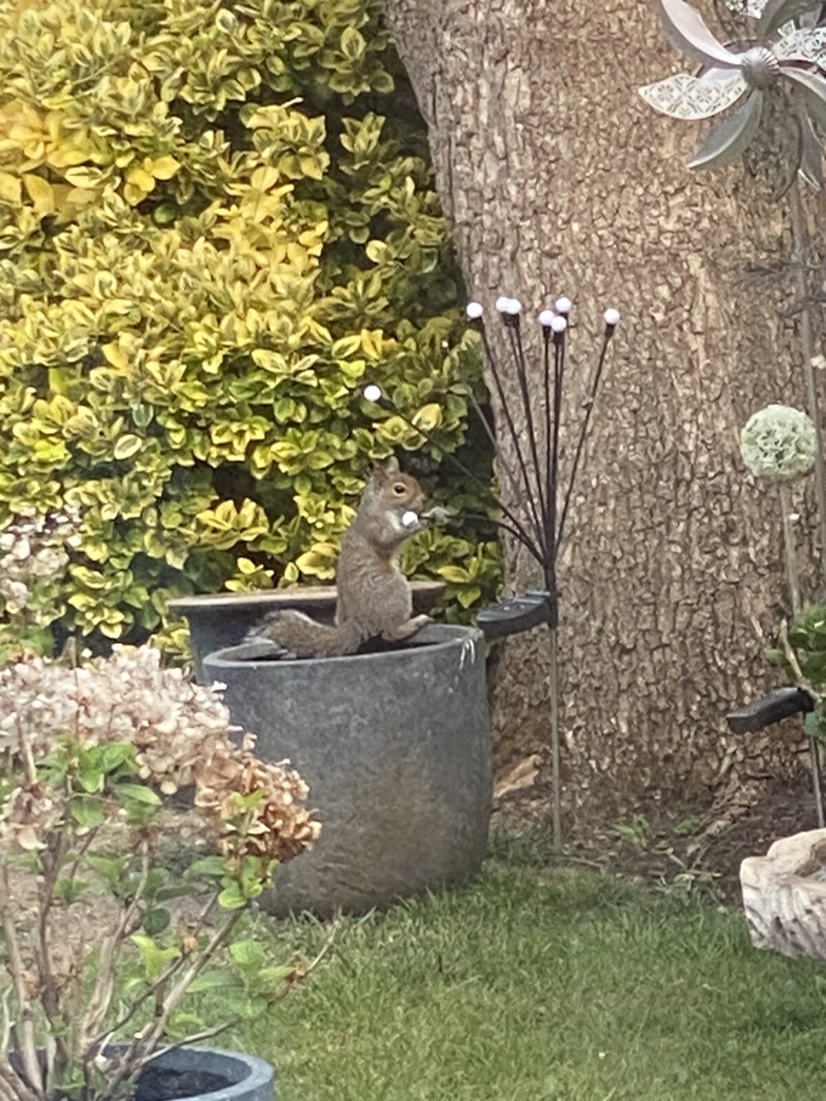 IMG_3424.jpeg