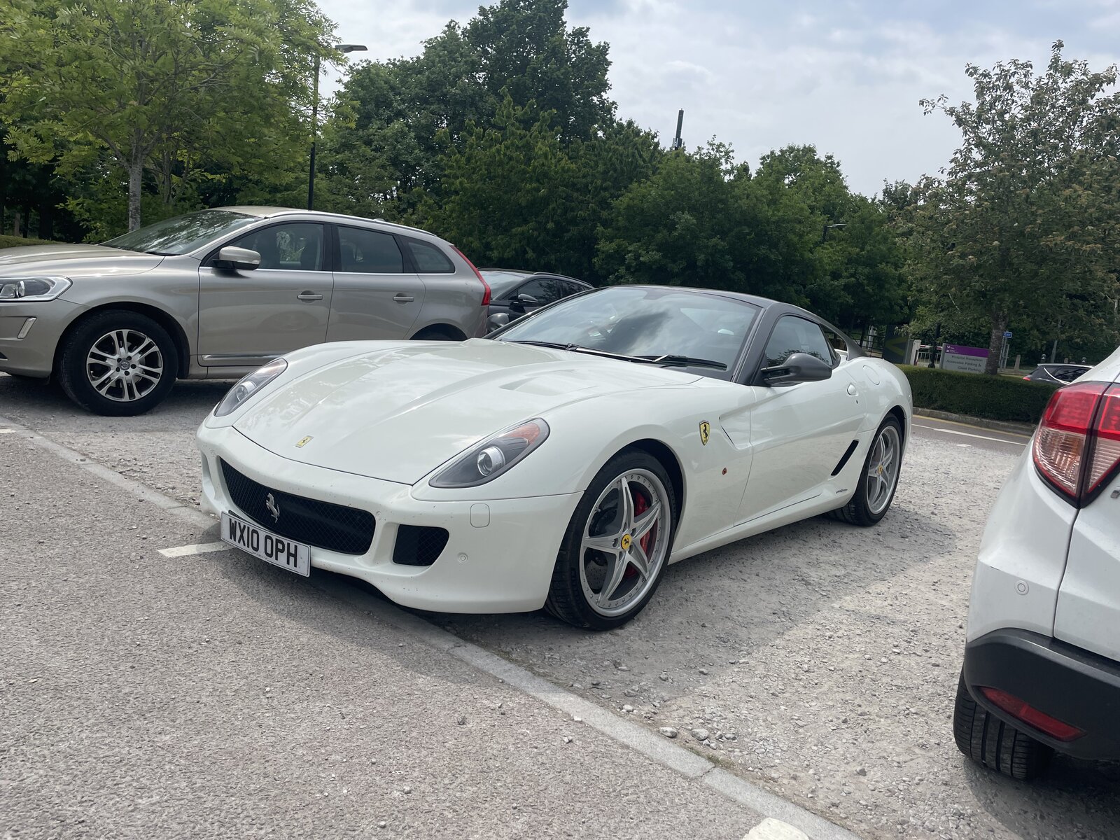 IMG_3513.jpeg
