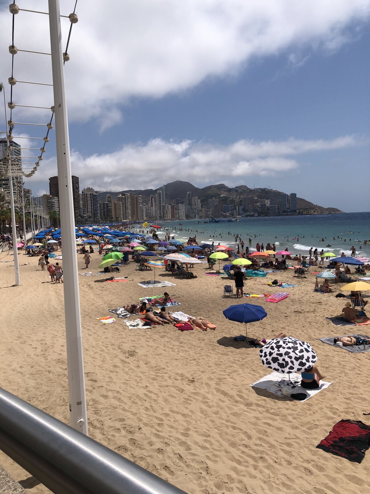 IMG_3853.jpeg