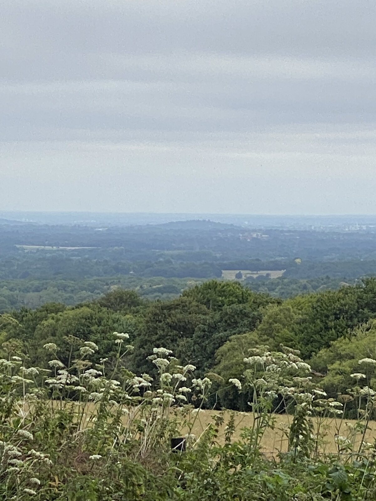 IMG_4247.jpeg