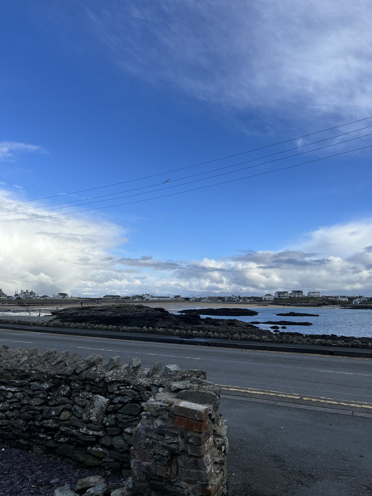 IMG_4343.jpeg