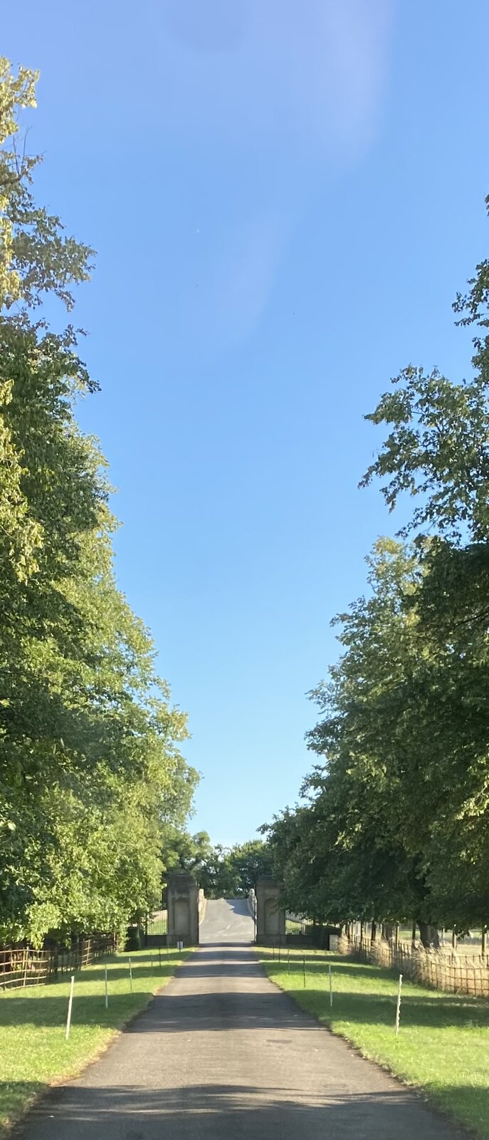 IMG_4629.jpeg