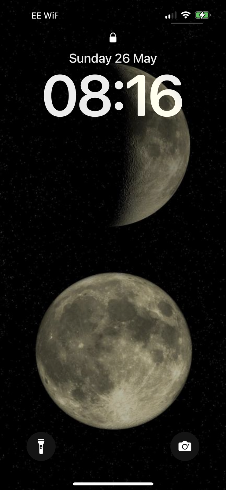 IMG_4905.png