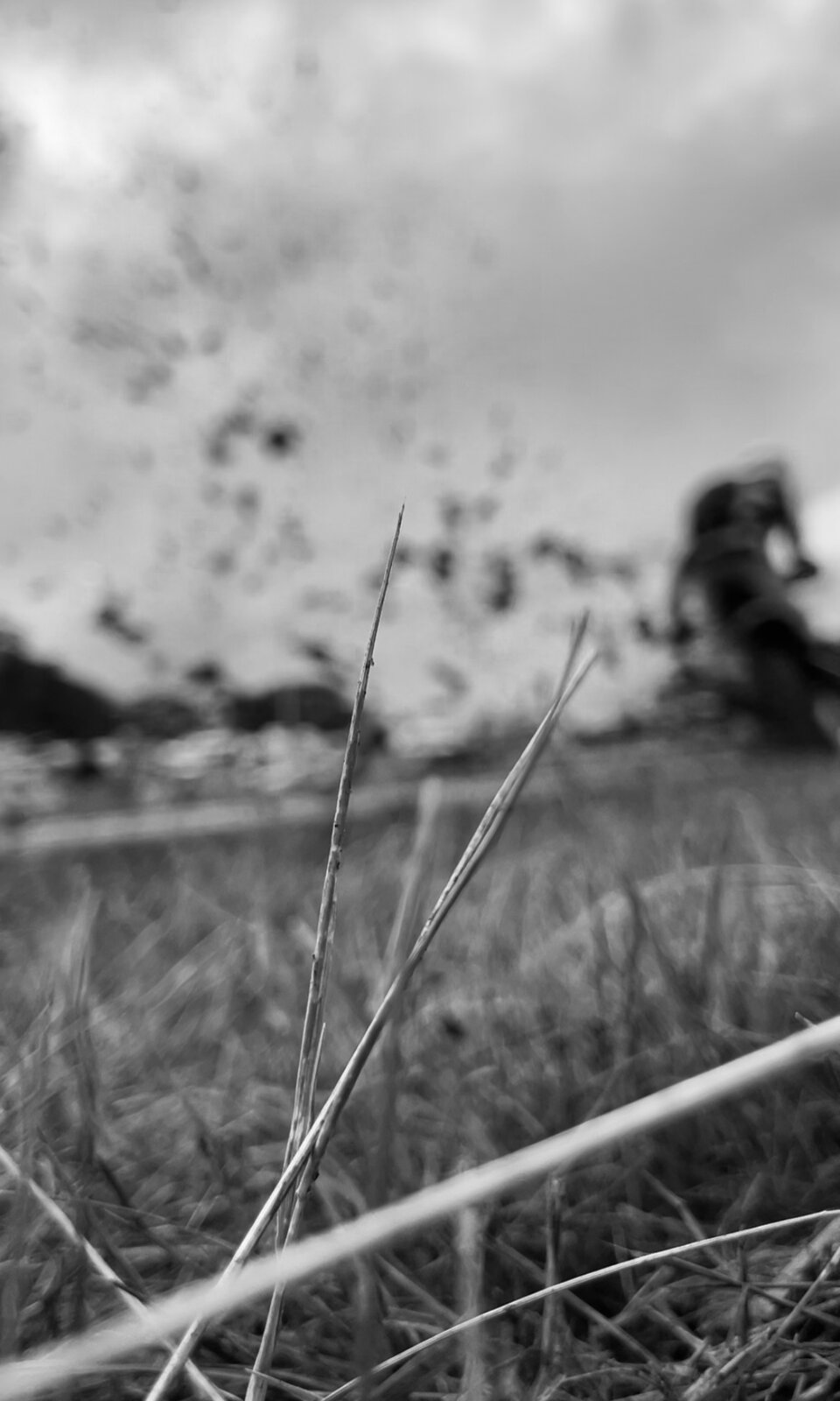 IMG_5095.jpeg
