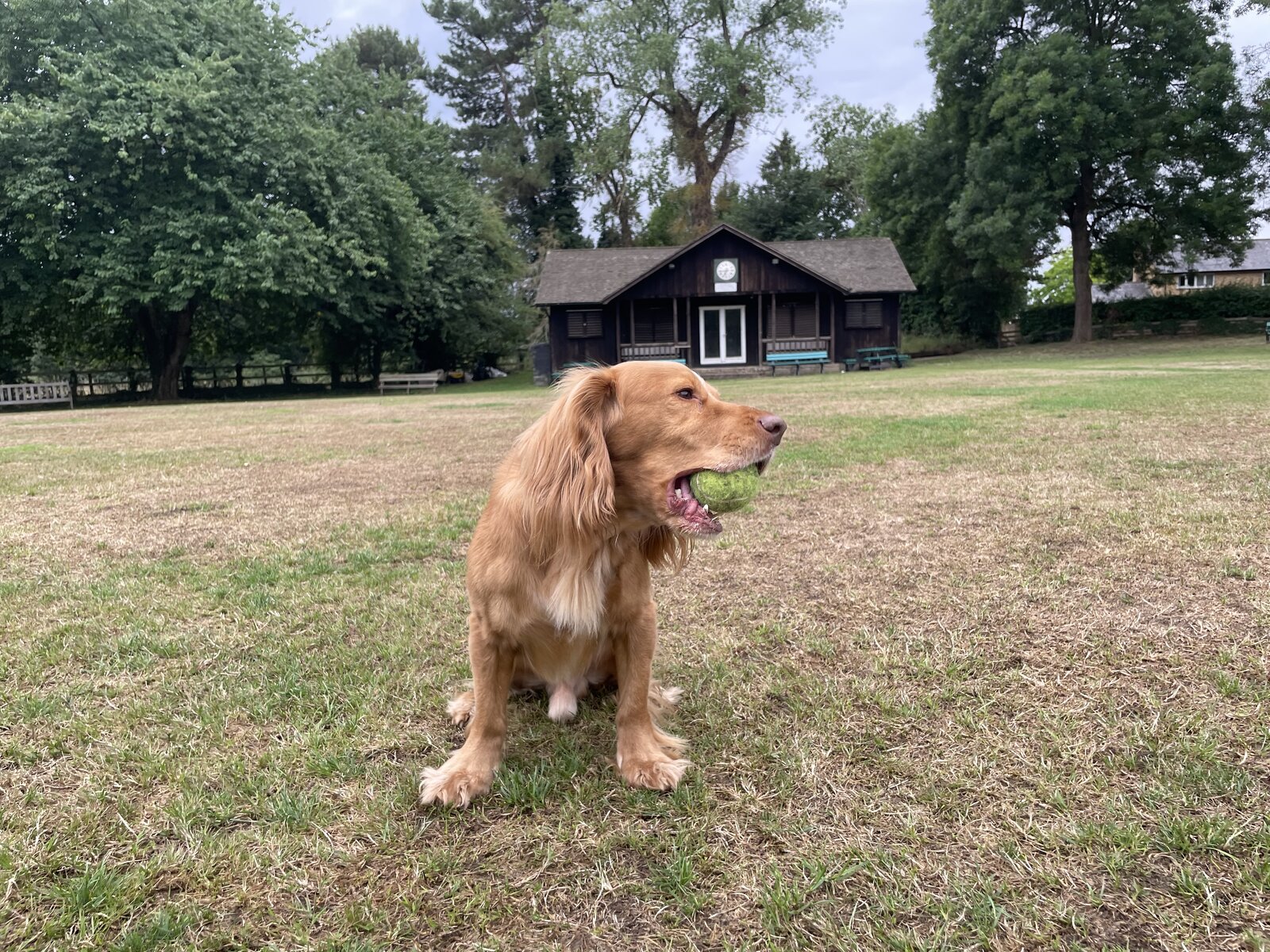 IMG_5201.jpeg