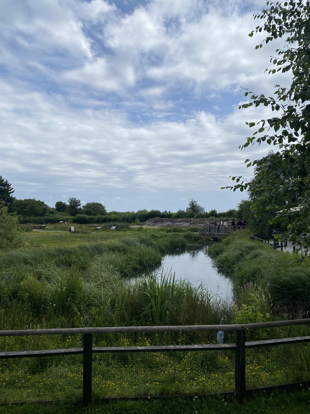 IMG_5228.jpeg