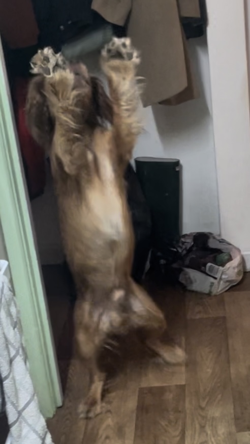 IMG_5244.jpeg