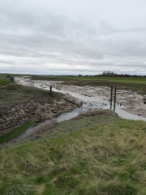 IMG_5871 Medium.jpeg