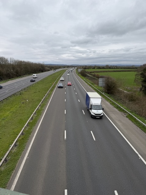 IMG_5872 Medium.jpeg