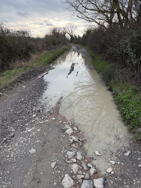 IMG_5873 Medium.jpeg