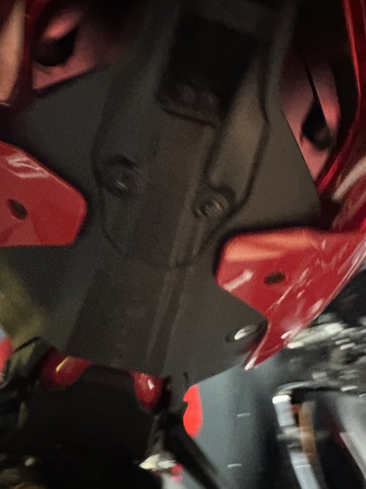 IMG_6260.jpeg