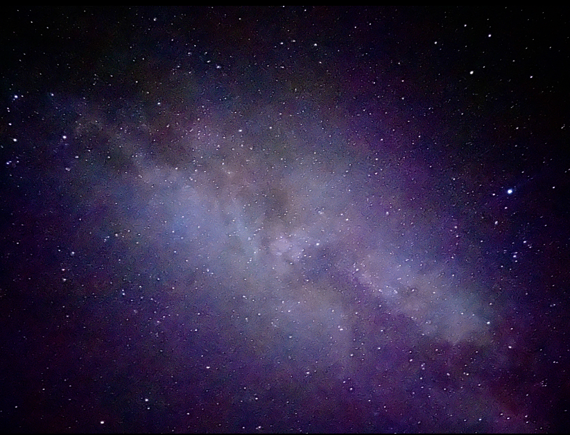 IMG_7382.jpg
