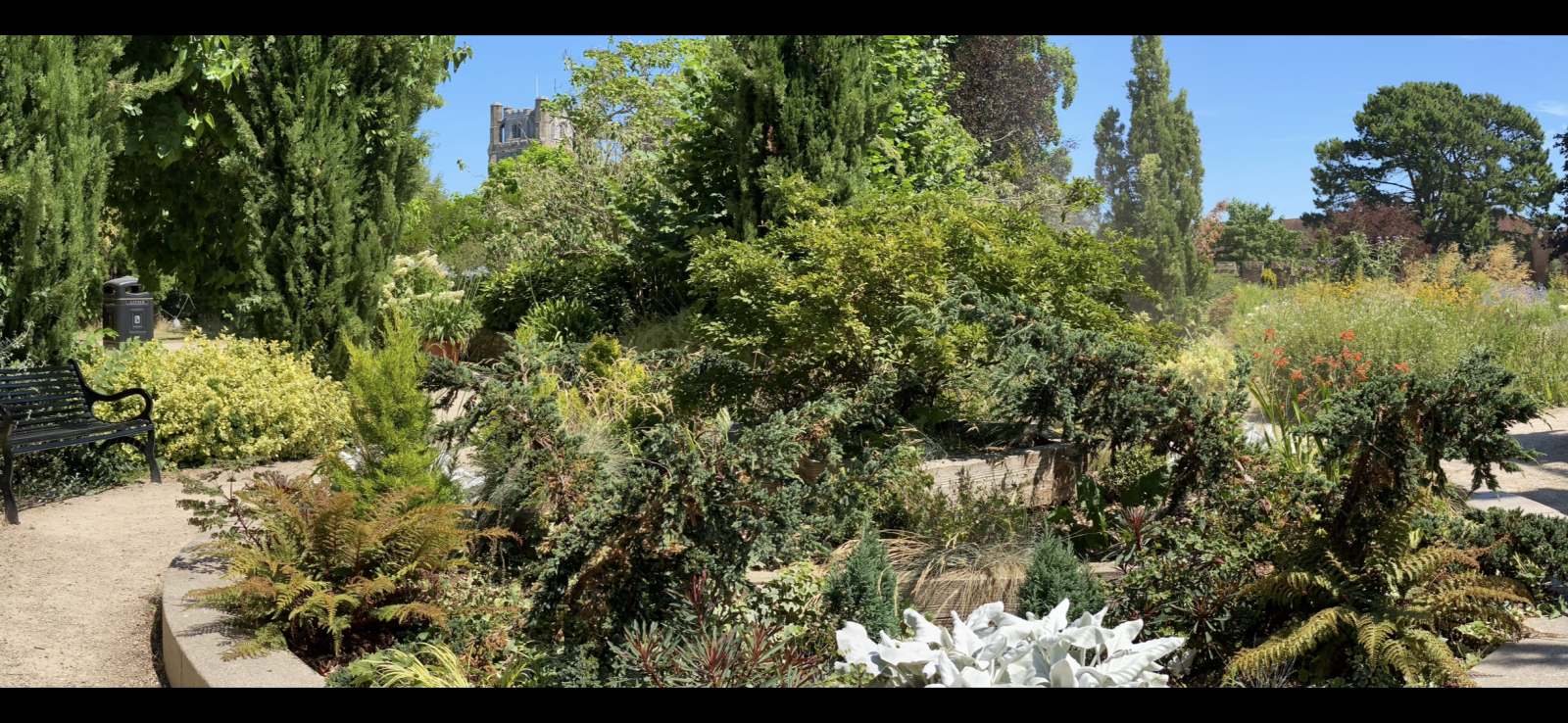 IMG_7445.png