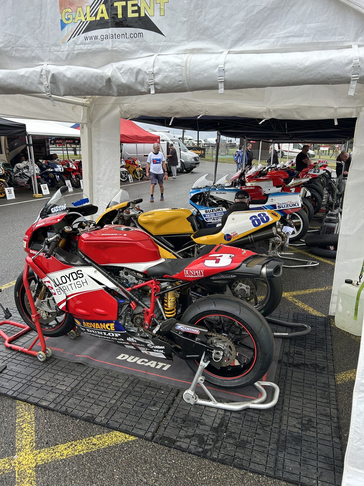 IMG_7768.jpeg