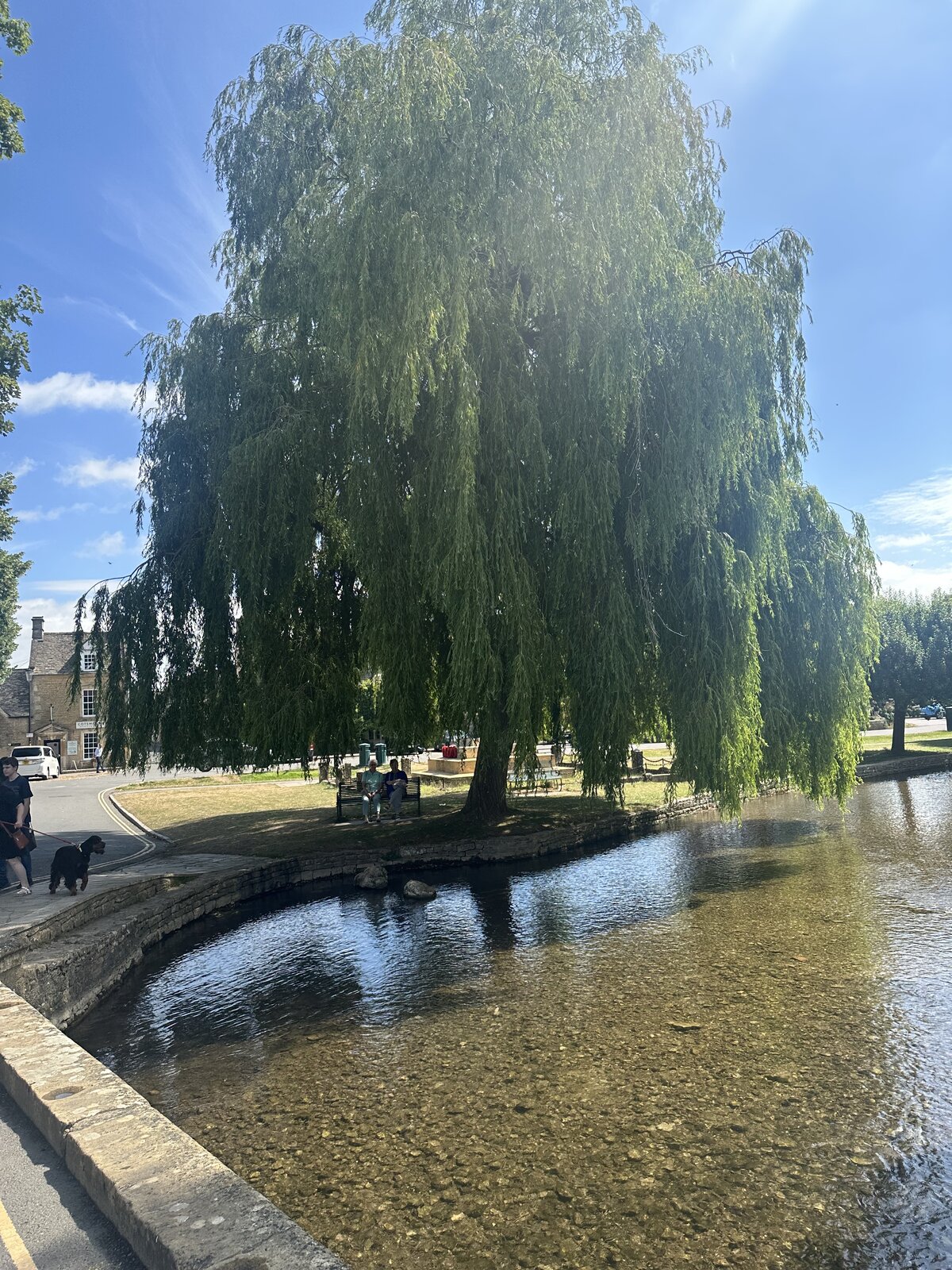 IMG_8904.jpeg