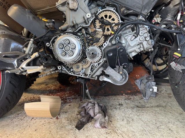 IMG_8909 Medium.jpeg