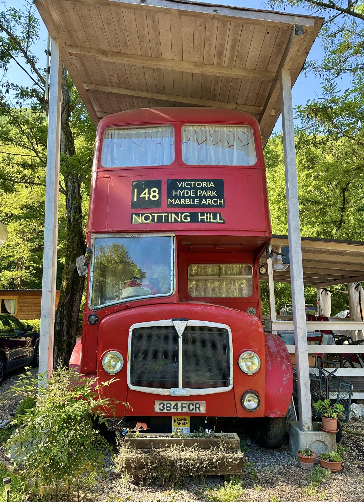 IMG_9206.jpeg