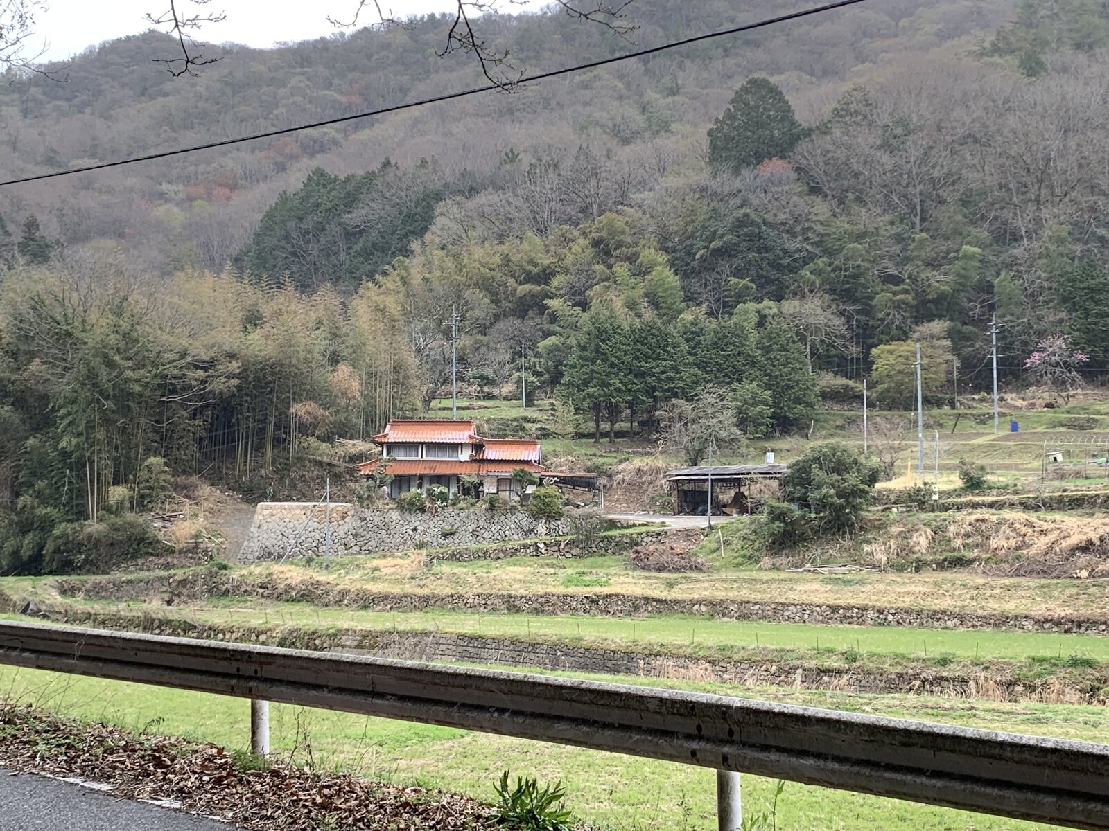 IMG_9639.jpeg