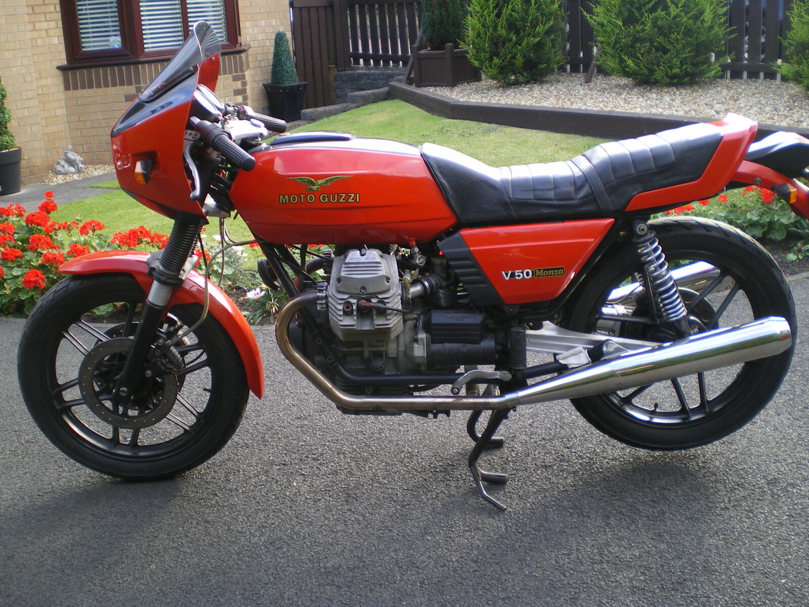 IMGP0218.JPG