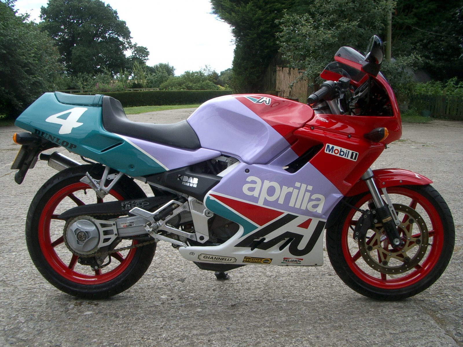 IMGP0875.JPG