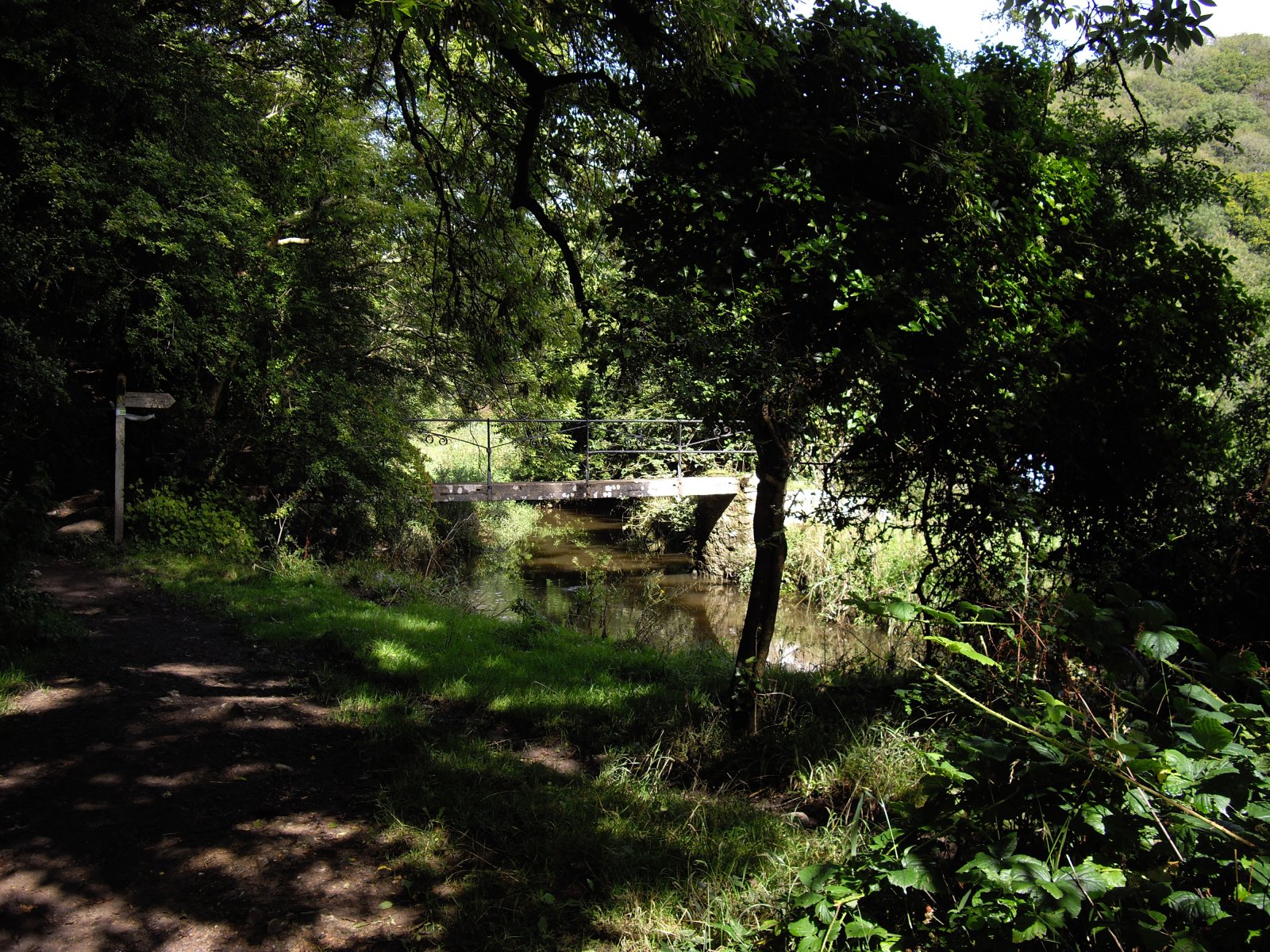 IMGP3943.JPG