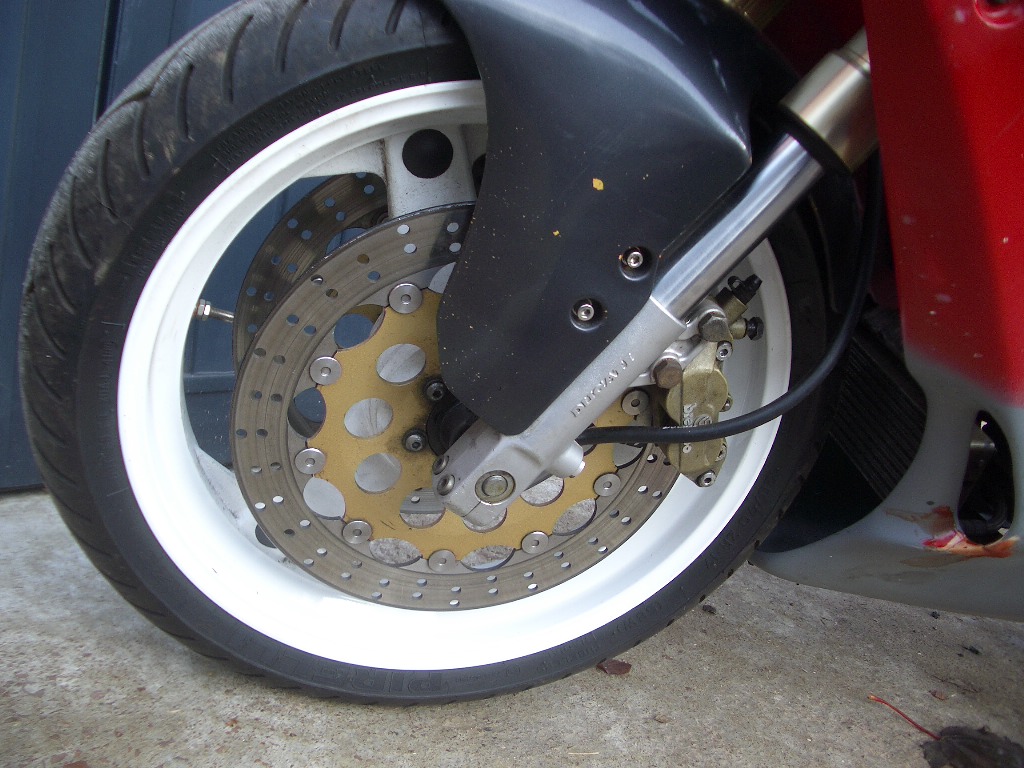 IMGP4348.JPG