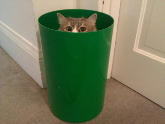 l-One-of-his-favorite-hiding-places.jpg
