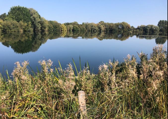 lake.JPG