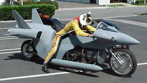 lemur_on_jet_bike.jpg