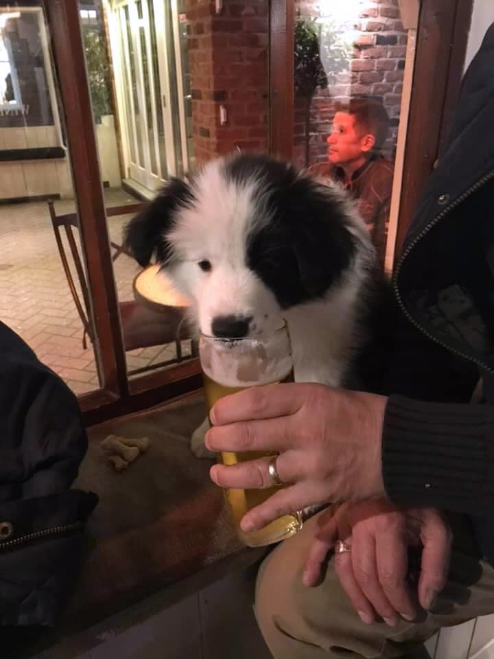 'Little' Meg at Zamani's.jpg