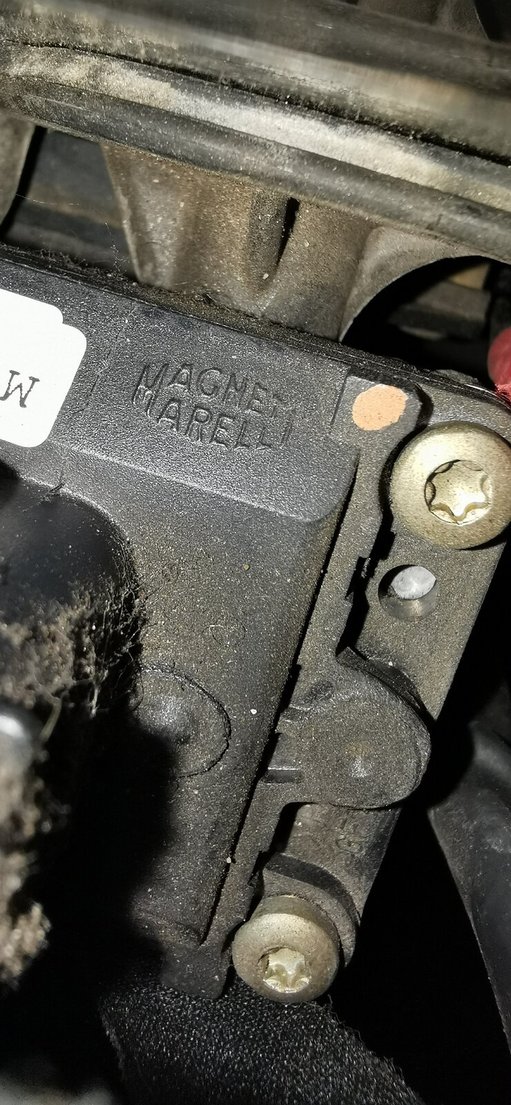 marelli 1.jpg