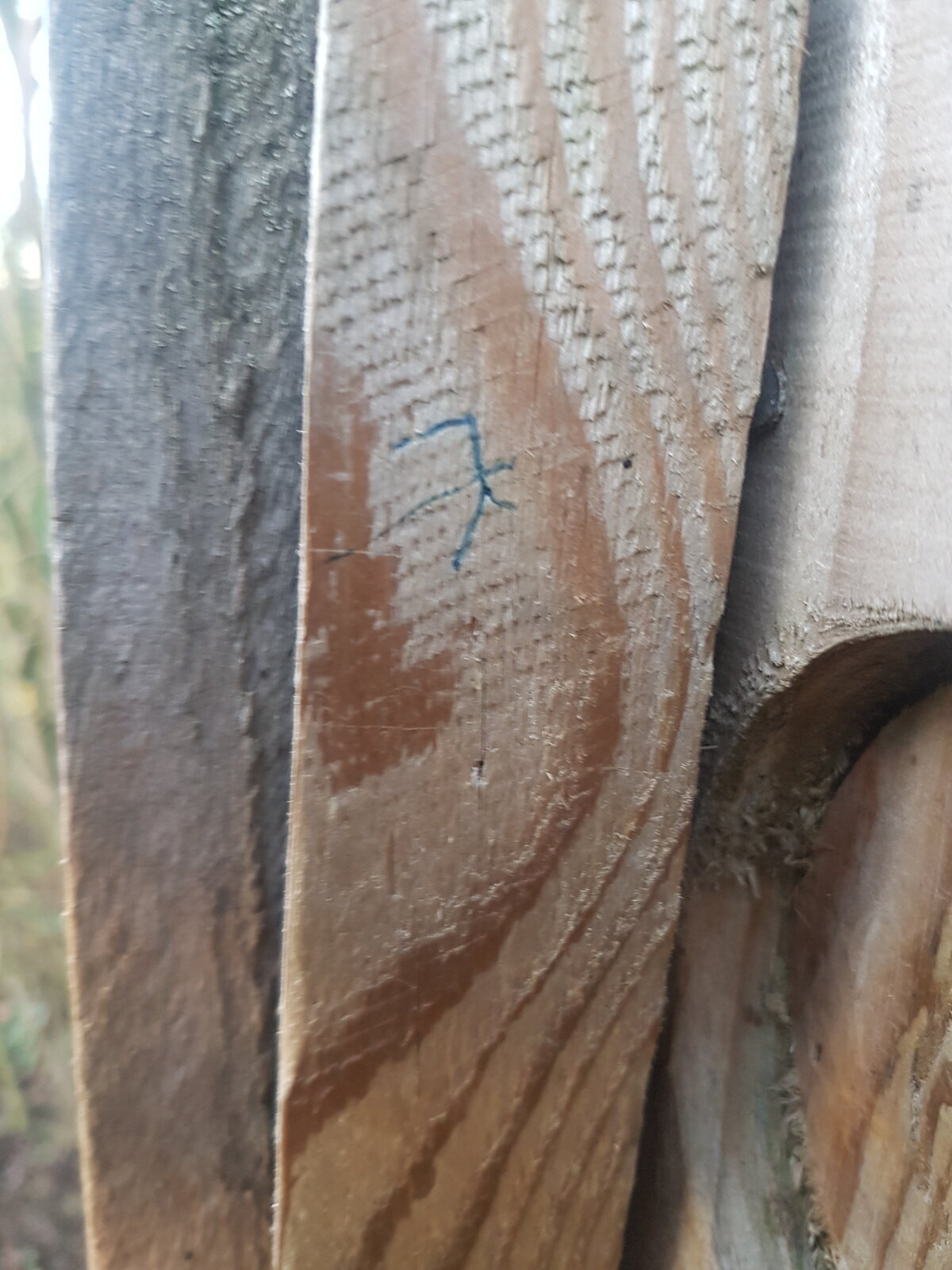 markings.jpg