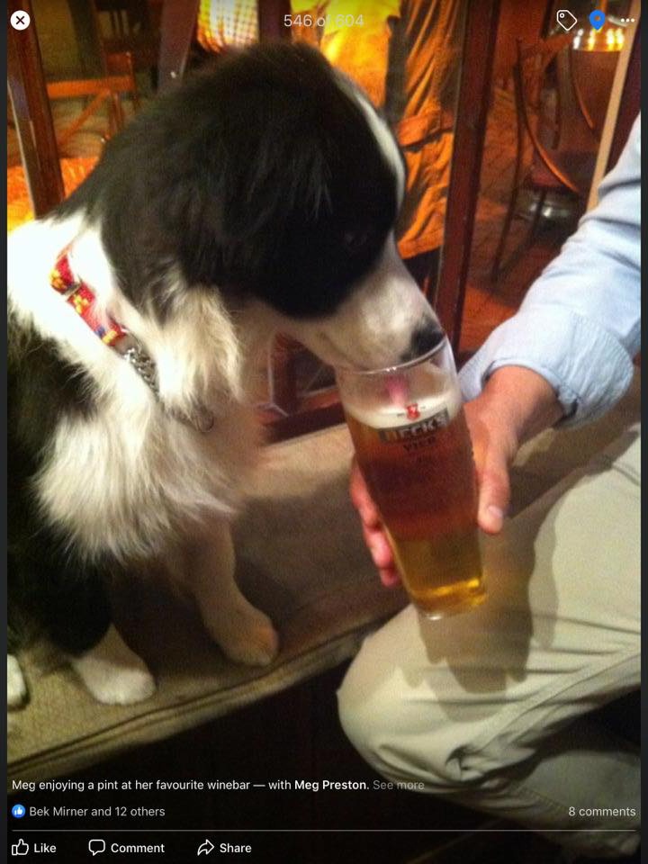 Meg at Zamani's.jpg