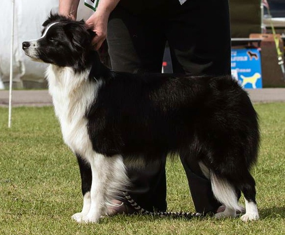 Meg June '17 (2).jpg