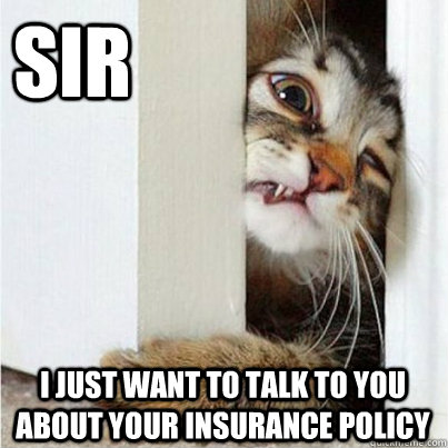 meme-insurance-cat.jpg